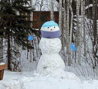 Socially distant snowman